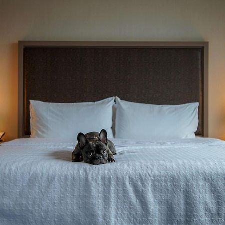 โฮมวู้ด สวีท บาย ฮิลตัน ชิคาโก เวสต์ ลูป Hotel ภายนอก รูปภาพ